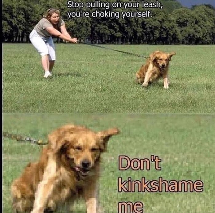 Stop pulling on your leash, you're choking yourself. aad у i