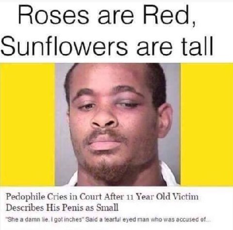 Roses are Red, Sunflowers are tall Pedophile Cries in Court After 11 Year Old Victim Describes His Penis as Small She a damn lie. gotinches” Said a tearful eyed man who was accused of