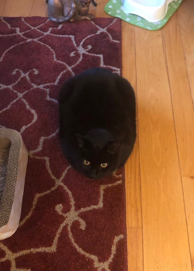 he