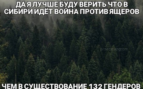 ДАЯЛУЧШЕ БУДУ ВЕРИТЬ ЧТО В СИБИРИ ИДЁТ ВОЙНА ПРОТИВЯЩЕРОВ ЧЕМ В СУЩЕСТВОВАНИЕ 132 ГЕНДЕРОВ