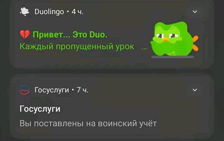 Duolingo 9 Привет... Это Duo. Каждый пропущенный урок Госуслуги Госуслуги Вы поставлены на воинский учёт