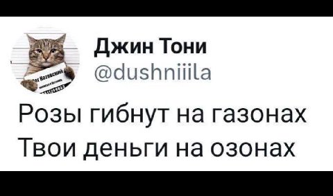 Джин Тони @dushniilila Розы гибнут газонах Твои деньги на озонах