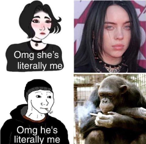 Omg she literall 2 Omg he's literally me