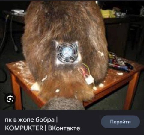 в жопе бобра КОМРОКТЕН ВКонтакте
