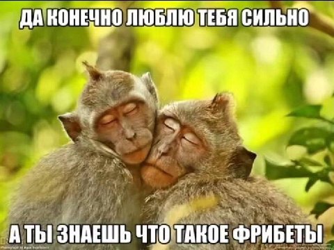 ДА KOHESHO ЛЮБЛЮ ТЕБЯ СИЛЬНО «a a АТЫ ЗНАЕШЬ ЧТО ТАКОЕ ФРИБЕТЫ