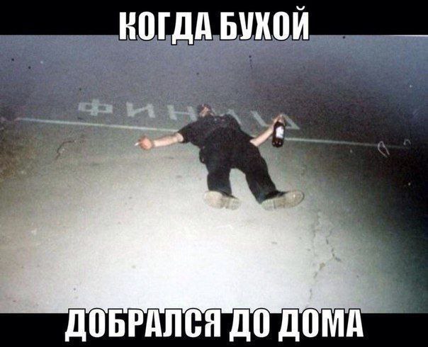КОГДА БУКОЙ ДОБРАЛСЯ ДО ДОМА