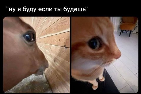 "нуя буду если ты будешь"