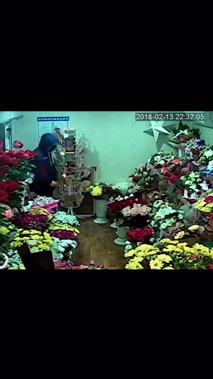 СЕРЕСЕЕЕСО x р
