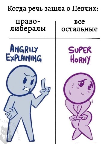 Когда речь зашла о Певчих: право- все либералы остальные ANGRity SuPER EXPLAINING Horny