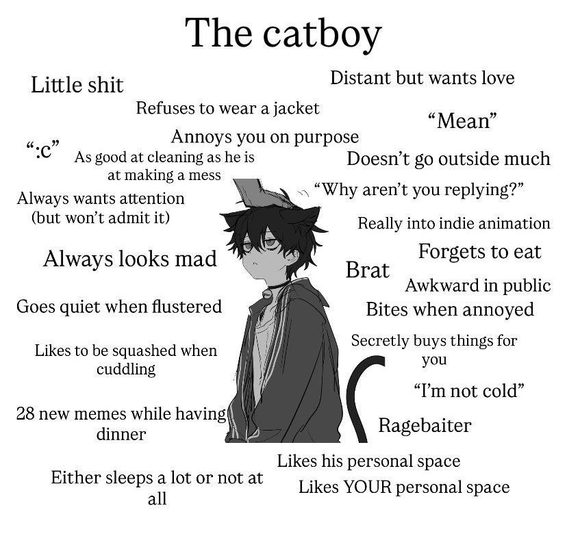 Little shit Distant but wants love Refuses to wear a jacket “Mean” Annoys you on purpose CAs good at cleaning as he is Doesn’t outside much at making a mess Always wants attention Ysa Why arent yourep