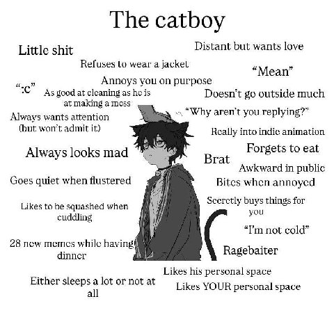 Little shit Distant but wants love Refuses to wear a jacket “Mean” Annoys you on purpose CAs good at cleaning as he is Doesn’t outside much at making a mess Always wants attention Ysa Why arent yourep