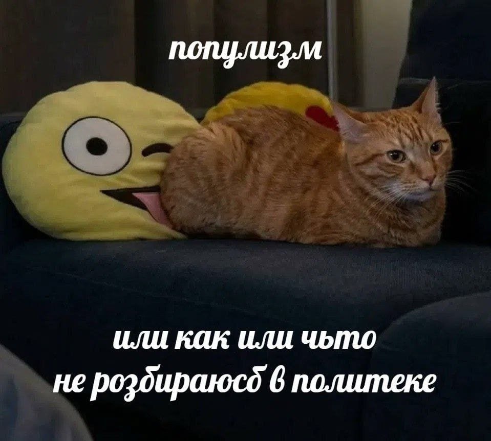 популизм или как или чьто не роздираюсд 6 политеке