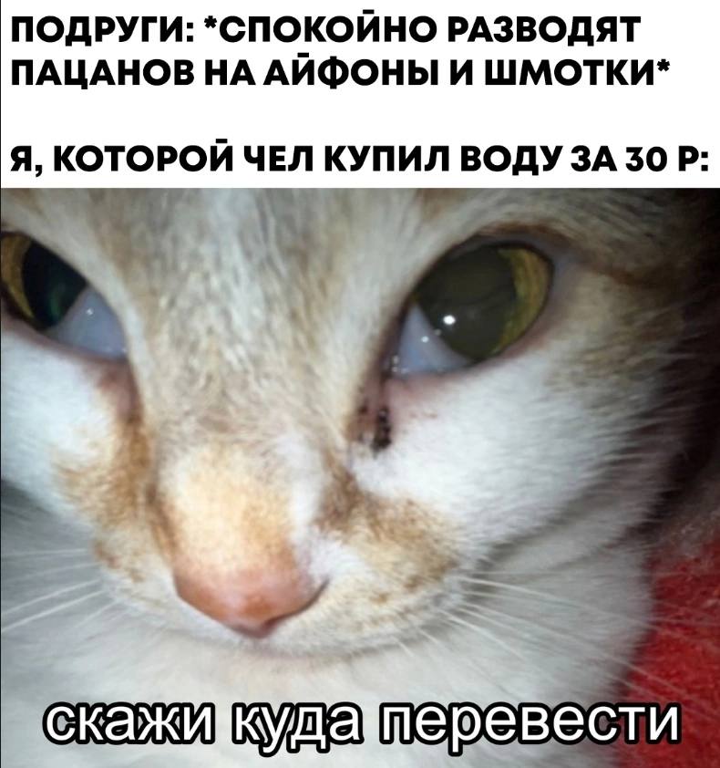 ПОДРУГИ: *СПОКОИНО РАЗВОДЯТ ПАЦАНОВ АИФОНЫ И ШМОТКИ* Я, КОТОРОЙ ЧЕЛ КУПИЛ 30 перевести