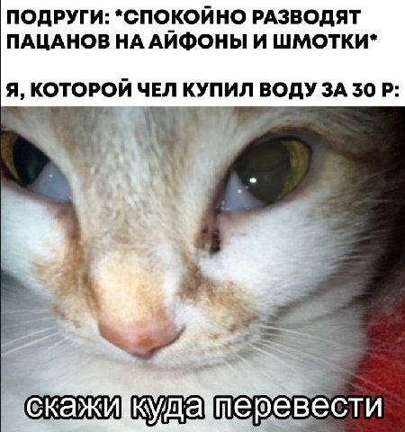 ПОДРУГИ: *СПОКОИНО РАЗВОДЯТ ПАЦАНОВ АИФОНЫ И ШМОТКИ* Я, КОТОРОЙ ЧЕЛ КУПИЛ 30 перевести