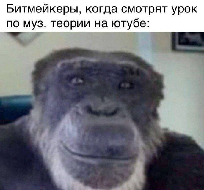 Битмейкеры, когда смотрят урок по муз. теории на ютубе: