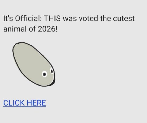 It's Official: THIS was voted the cutest animal of 2026! CLICK HERE