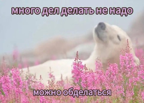 pul 4: 4 Nig +3 2. Pern блелате 4 32 дел ЬСЯ a 2 Я
