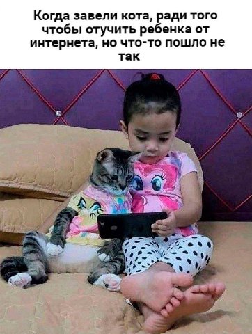 Когда завели кота, ради того чтобы отучить ребенка от интернета, но что-то пошло не так