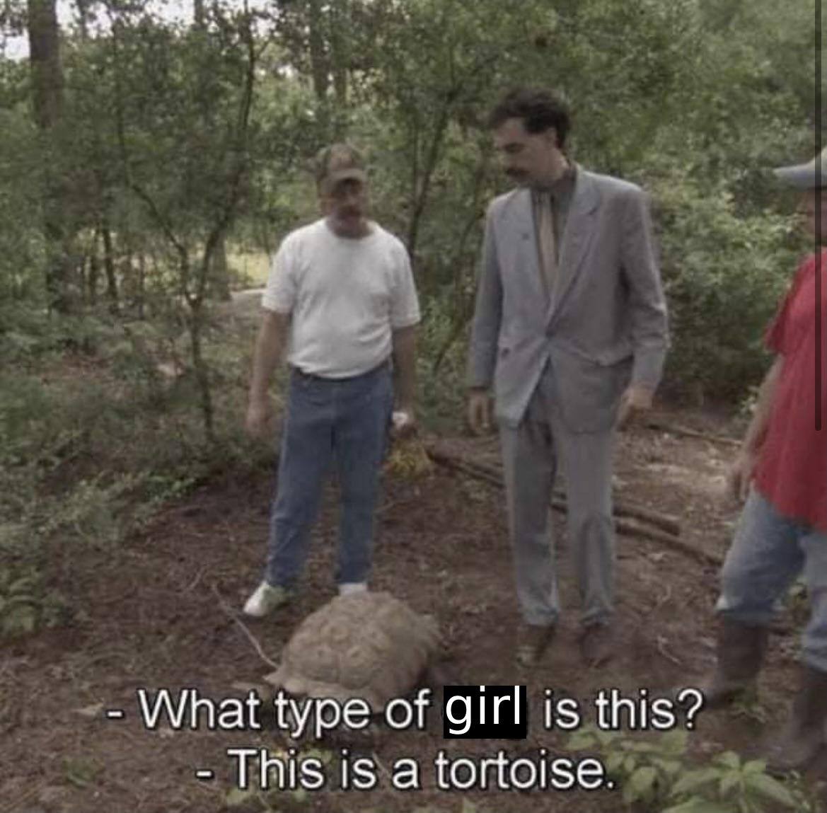 What type of girl is this? This is a tortoise.