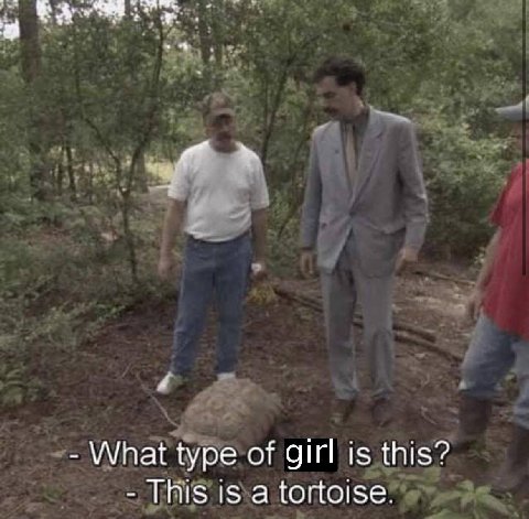 What type of girl is this? This is a tortoise.