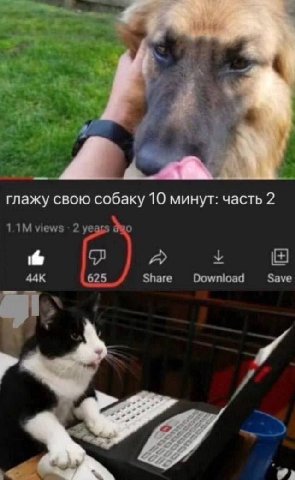 я глажу свою собаку 10 минут: часть 2 views 2 о у A 625 Share Download Save