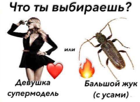 Что ты выбираешь? Девушка Бальшой жук супермодель (с усами)