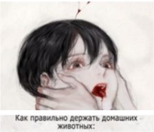 Как правильно держать домашних животных: