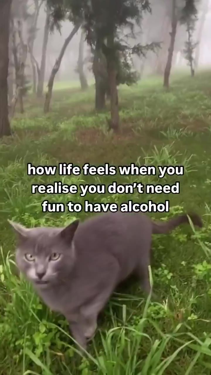 realise you don’tineed - howllife}feelsjwhen you. realise}\youldon;t need - howlife feels мпетуоц’ ~ \/ fun tohave alcohol» _ how life feels мпепуои ~funjto havejalcohol \