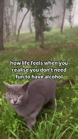 realise you don’tineed - howllife}feelsjwhen you. realise}\youldon;t need - howlife feels мпетуоц’ ~ \/ fun tohave alcohol» _ how life feels мпепуои ~funjto havejalcohol \