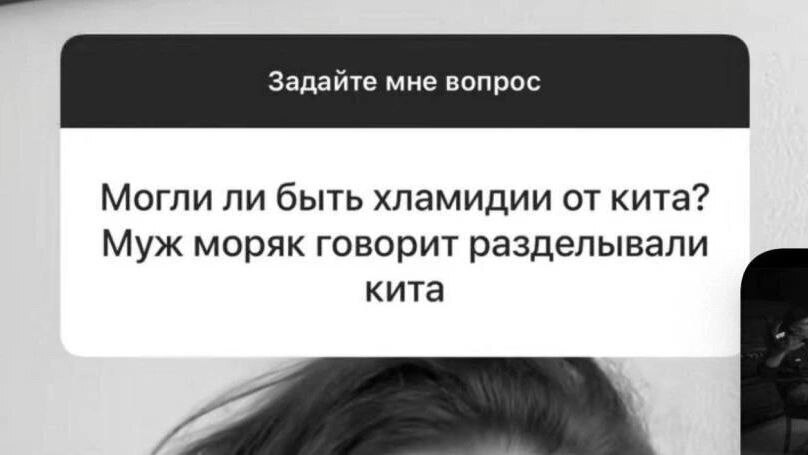 Могли ли быть хламидии от кита? Муж моряк говорит разделывали кита