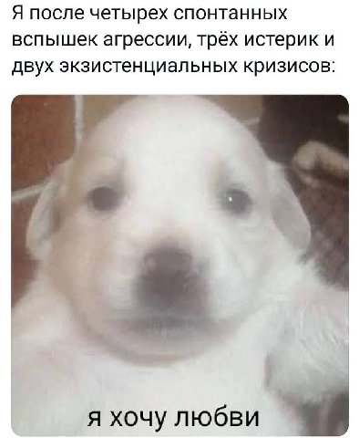 Я после четырех спонтанных вспышек агрессии, трёх истерик и двух экзистенциальных кризисов: я хочу любви