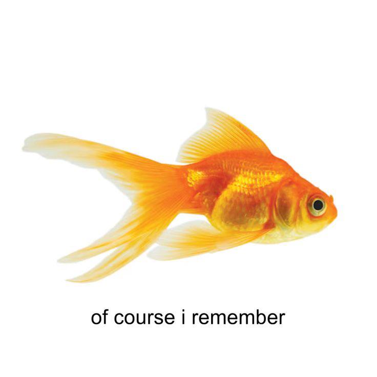 of course remember