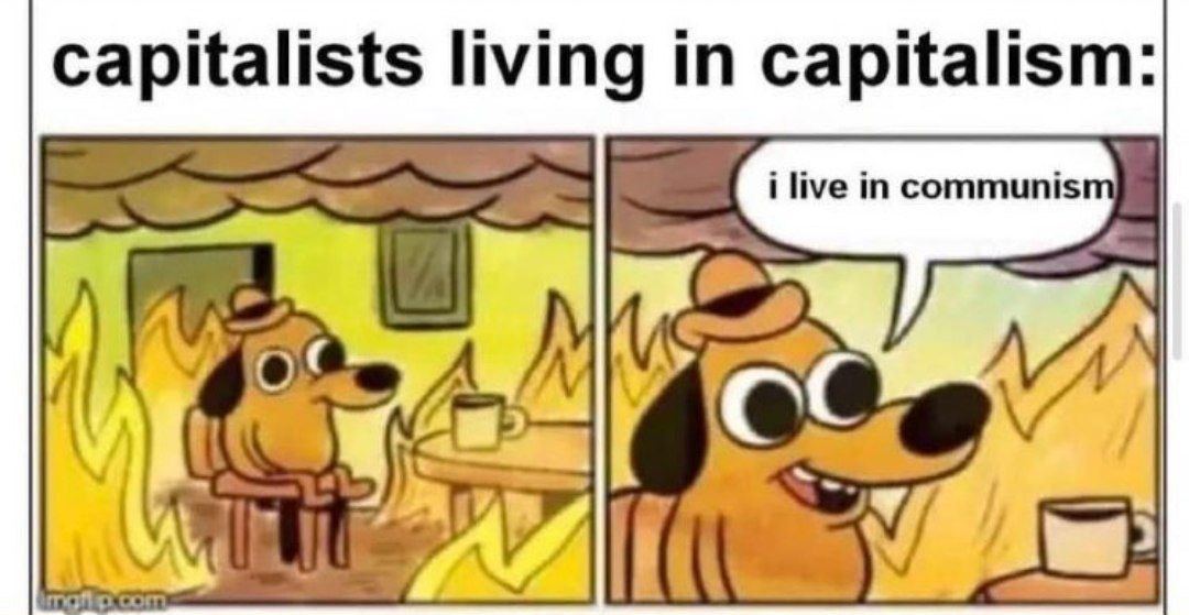 capitalists living in capitalism: