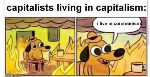 capitalists living in capitalism: