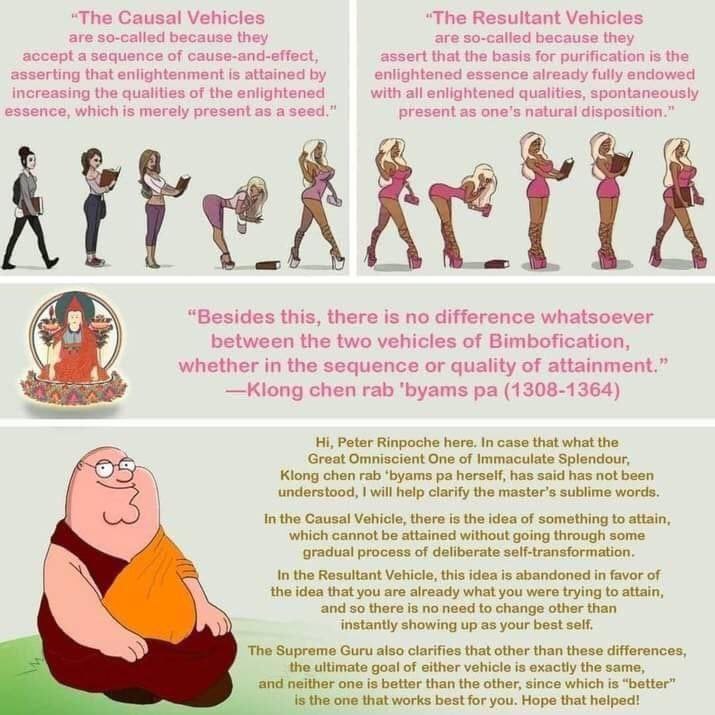 “The Causal Vehicles “The Resultant Vehicles are so-called because they are so-called because they accept a sequence of cause-and-effect, assert that the basis for purification is the asserting that e