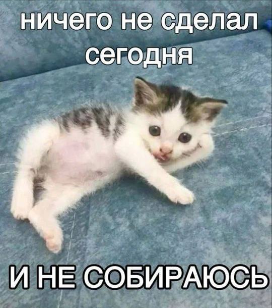 субботнее: