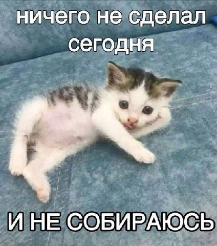 субботнее: