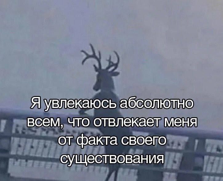 Я увлекаюсь абсолютно всем, что отвлекает меня от факта своего существования