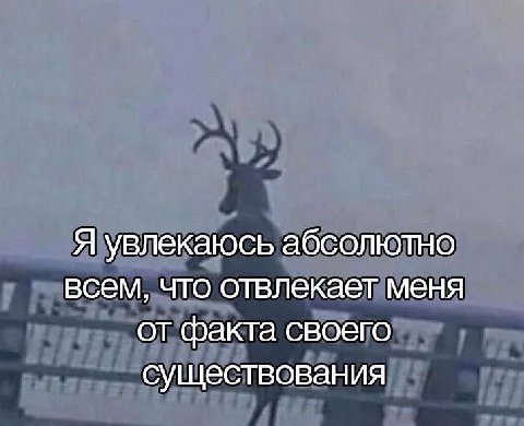 Я увлекаюсь абсолютно всем, что отвлекает меня от факта своего существования