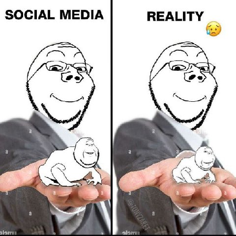 SOCIAL MEDIA REALITY