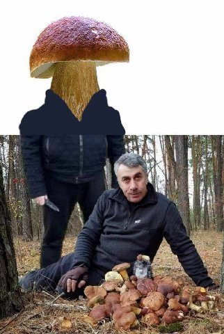 4 23 “a i 1 1 1 4 Я Be 4$ К i и. a A С 2% 4 a
