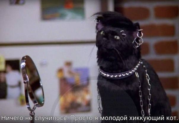 Ничего не случилось. Просто я молодой хиккующий кот.