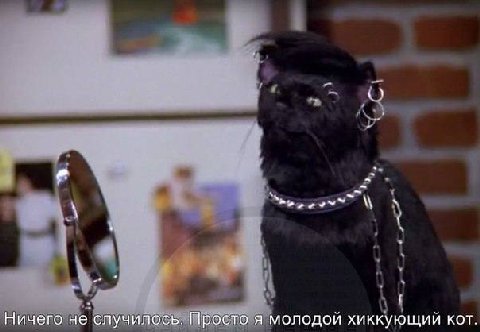 Ничего не случилось. Просто я молодой хиккующий кот.