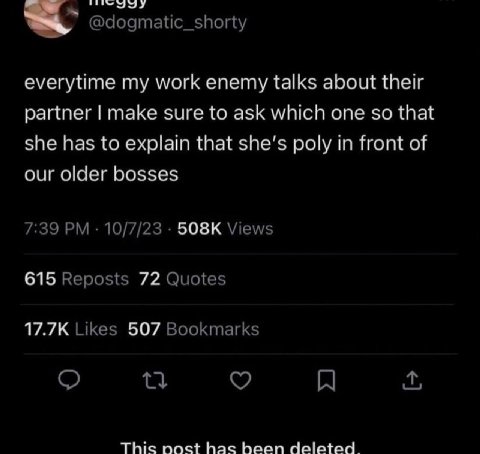 everytime my work enemy talks about their partner make sure to ask which one so that she has to explain that she's poly in front of our older bosses 508К 615 72 17.7К 507 This рост has heen deleted.