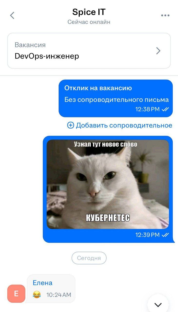 Spice IT Сейчас онлайн Вакансия Отклик на вакансию Без сопроводительного письма Добавить сопроводительное Узнал тут новое слово КУБЕРНЕТЕС