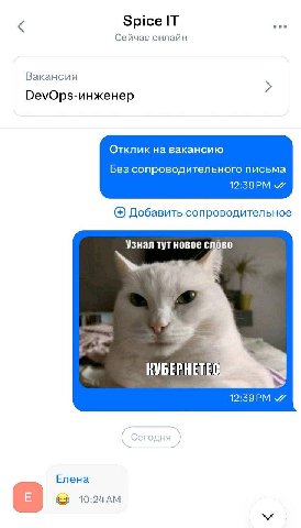 Spice IT Сейчас онлайн Вакансия Отклик на вакансию Без сопроводительного письма Добавить сопроводительное Узнал тут новое слово КУБЕРНЕТЕС