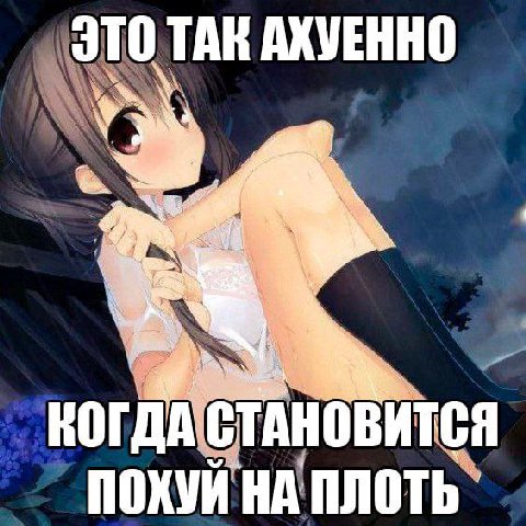 \3TO TAK АХУЕННО КОГДА СТАНОВИТСЯ ПОХУИ НА ПЛОТЬ