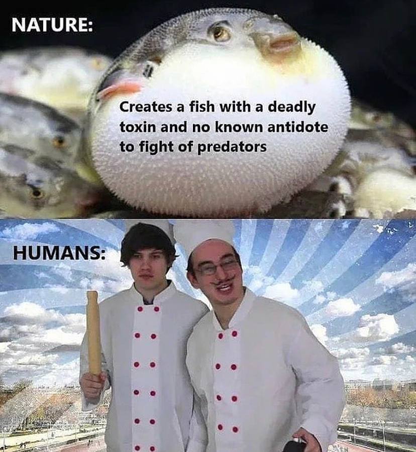 24 NATU a a fish with a deadly toxin and no known antidote to fight of predators HUMANS: 7]