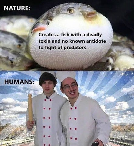 24 NATU a a fish with a deadly toxin and no known antidote to fight of predators HUMANS: 7]