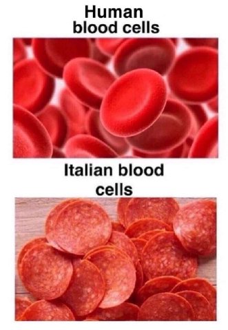 Нитап blood cells Italian blood